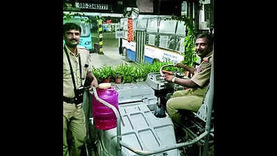 BMTC ride in traffic is stress-free due to these plants, say passengers