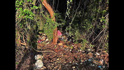 Garbage dumped in portions of Vandalur reserve forest