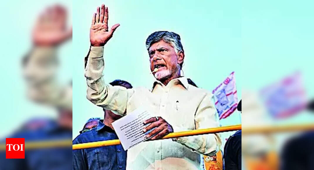 N Chandrababu Naidu: Naidu: Vote For Party Which Can Develop State ...