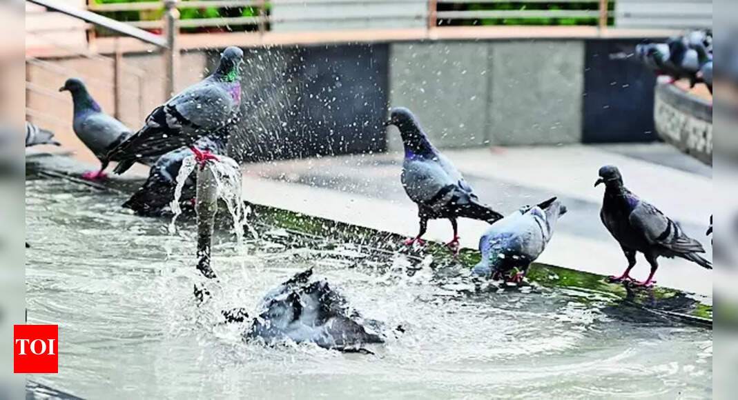 Temperature: Residents Feel The Heat As Mercury Begins To Soar; On Way To Reach 35°c | Ludhiana News - Vimarsana News