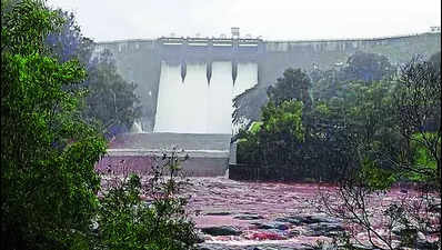 Discharge from Koyna dam increased to 3,000 cusec