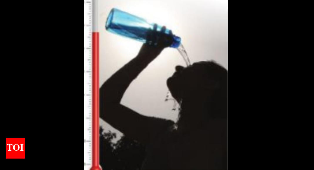 'Even below 35C, temperatures can prove fatal with Goa's high humidity ...