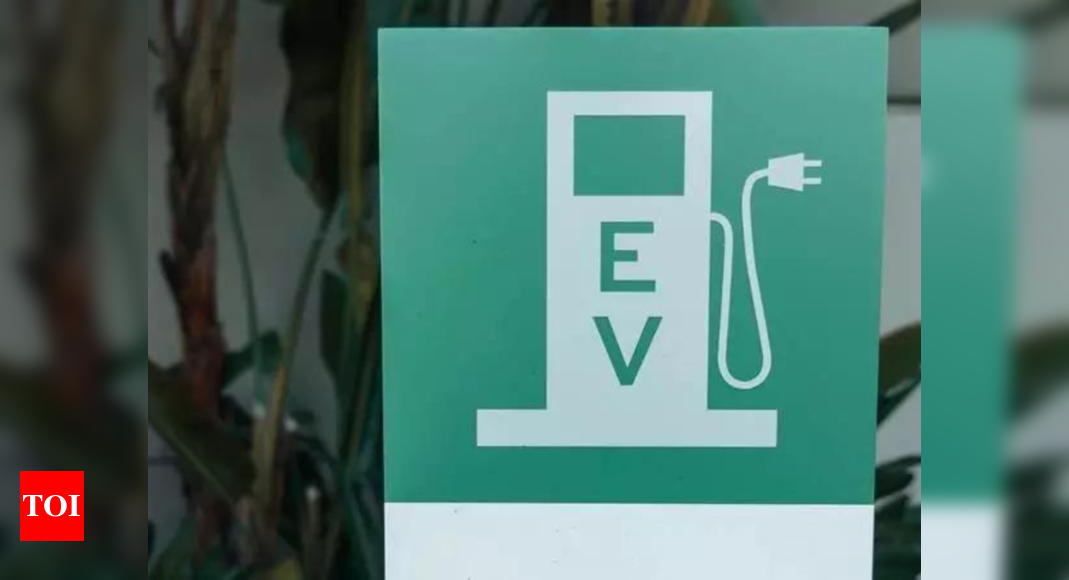 EV Infrastructure: Big Players Enter Fray To Bid For Ev Infra In City ...