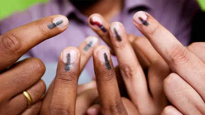 Maharashtra government declares paid leave on election day to increase voter turnout