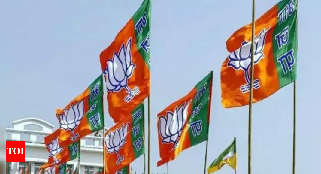 Punjab: BJP's Salaria revolts against party, says will contest LS polls from Gurdaspur | India News - Vimarsana News