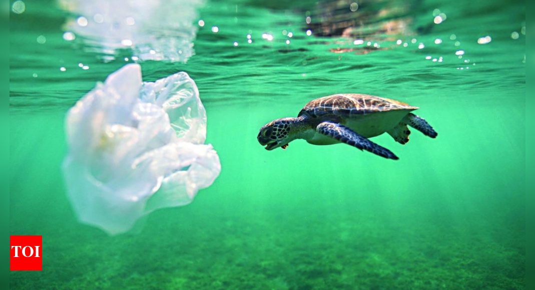 Study shows ocean floor has turned into 'reservoir' of plastic pollution - Vimarsana News
