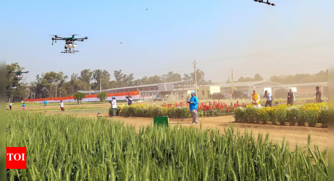 Digitalising Indian agriculture: Impact of major agtech platforms | India News