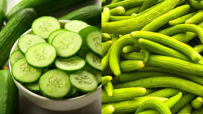 Kheera vs Kakdi: Which is healthier and how much to consume