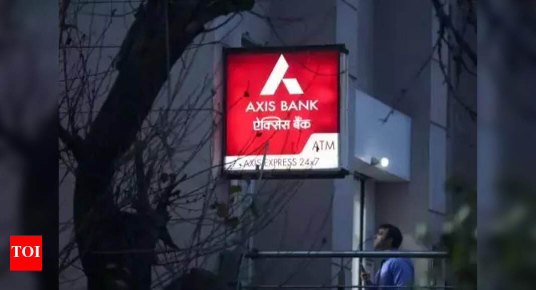 bain-capital-to-sell-429mn-stake-in-axis-times-of-india