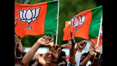 BJP rejection rate for sitting MPs in state in line with nat’l average