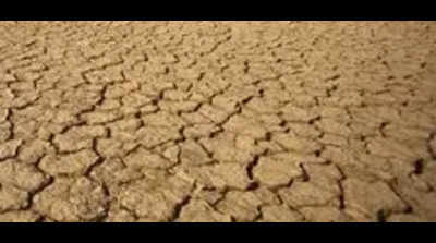 Drought: Dry spell leaves Andhra Pradesh reeling, 190 mandals declared ...