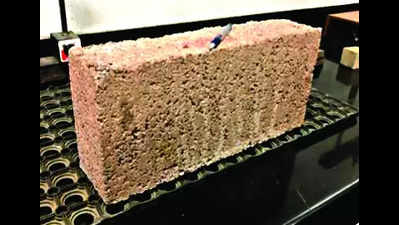 In a 1st, state dept's invention of bricks from waste gets patent