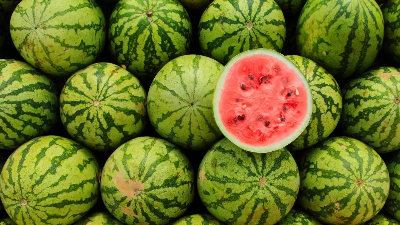 National Watermelon Day 2024 Theme 