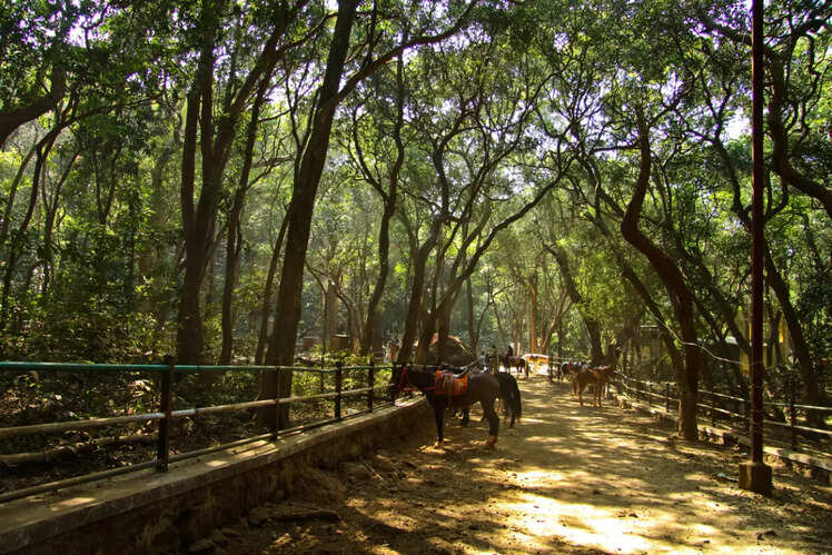 Matheran, India