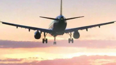 It's for airlines to decide how much alcohol to serve: DGCA