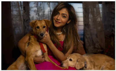 #NationalPetDay! I wish to open an animal shelter someday, says Pariva Pranati