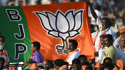 BJP flag can drive away 'evil spirits', claims Haryana mantri