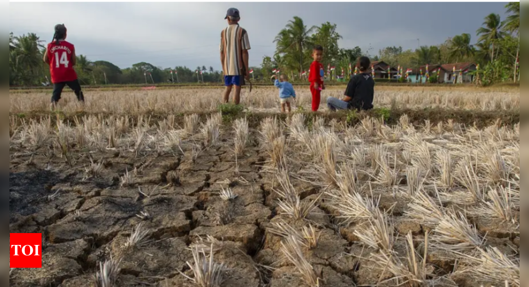 What are El Nino and La Nina? – Times of India