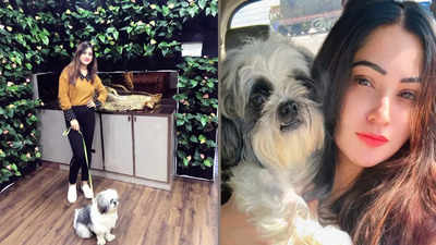 Actress Anikha Sindya expresses joy and love for her furry companion on National Pet Day