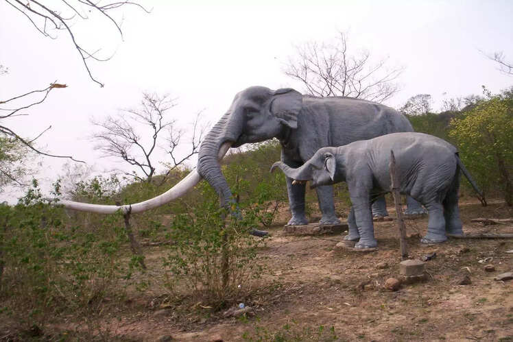 Shivalik Fossil Park, hIMACHAL