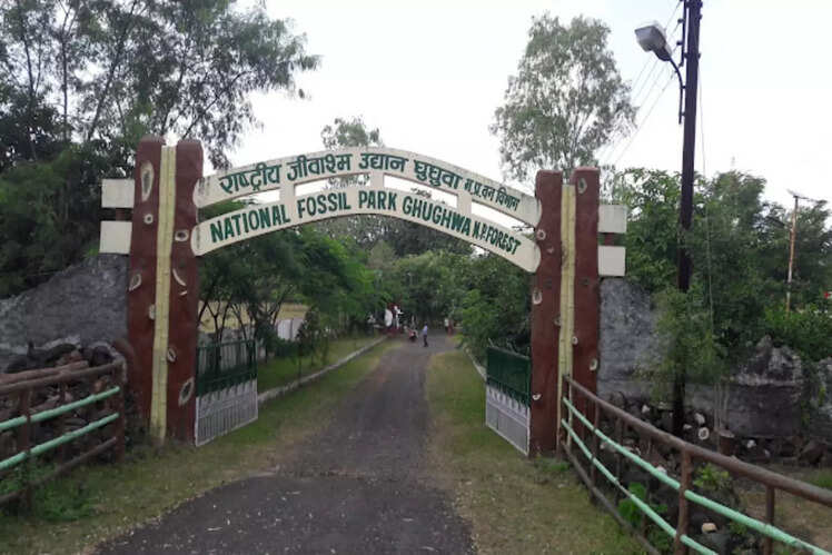Ghughua Fossil Park, Madhya Pradesh