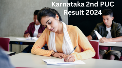 Karnataka 2nd PUC results out: What's next for candidates?