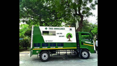 NDMC to plant 4L saplings, shrubs; tree ambulance to keep them healthy