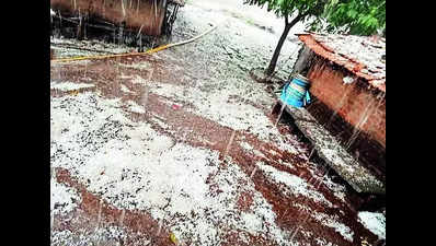Unseasonal rain lashes parts of Guj