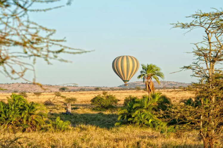 Hot air balloon safari in the Serengeti, Tanzania
