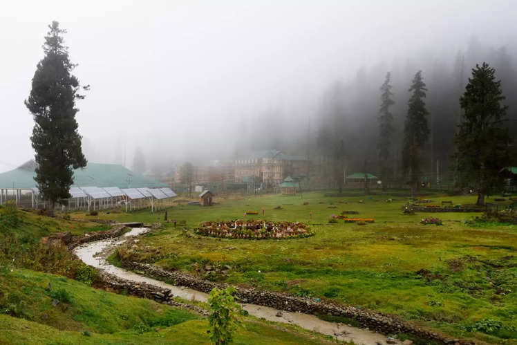 Gulmarg Travel: Exploring the best of Gulmarg in summer: 5 must-do ...