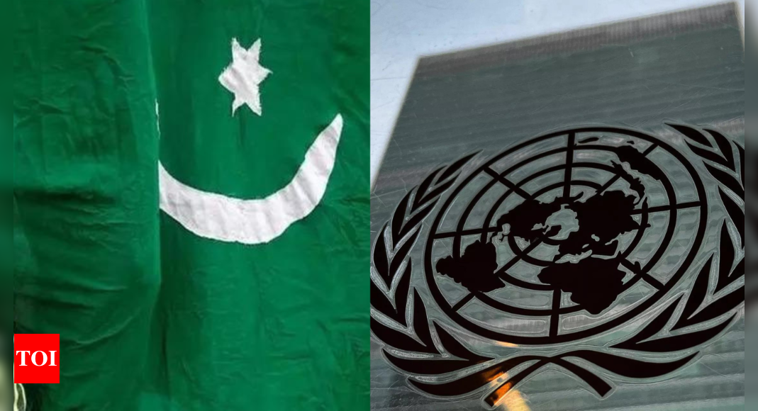 UN experts condemn forced marriages, religious conversions of minorities in Pakistan – Times of India