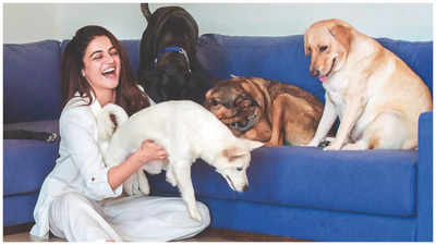 Wamiqa Gabbi: Spending time with my dogs has made me a better human being
