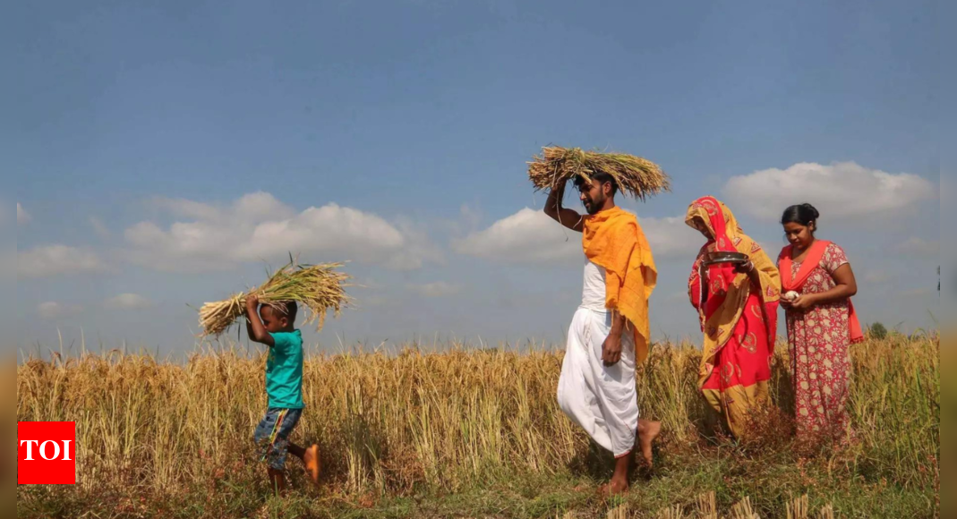 Second round of harvest and new year festivals fall this weekend | Mumbai News - Vimarsana News