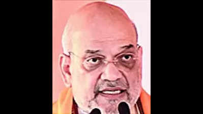 Shah says ‘Cong did nothing on Article 370’