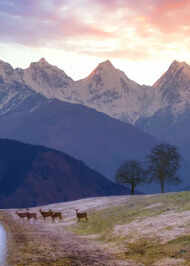 raangi movie review 123telugu