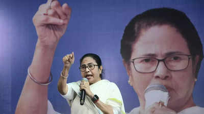 'BJP destroyed Ambedkar's constitution,' says Mamata tells voters 'don't fall prey to PM Modi's guarantees'