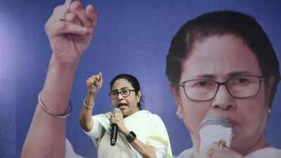 'BJP destroyed Ambedkar's constitution,' says Mamata tells voters 'don't fall prey to PM Modi's guarantees'