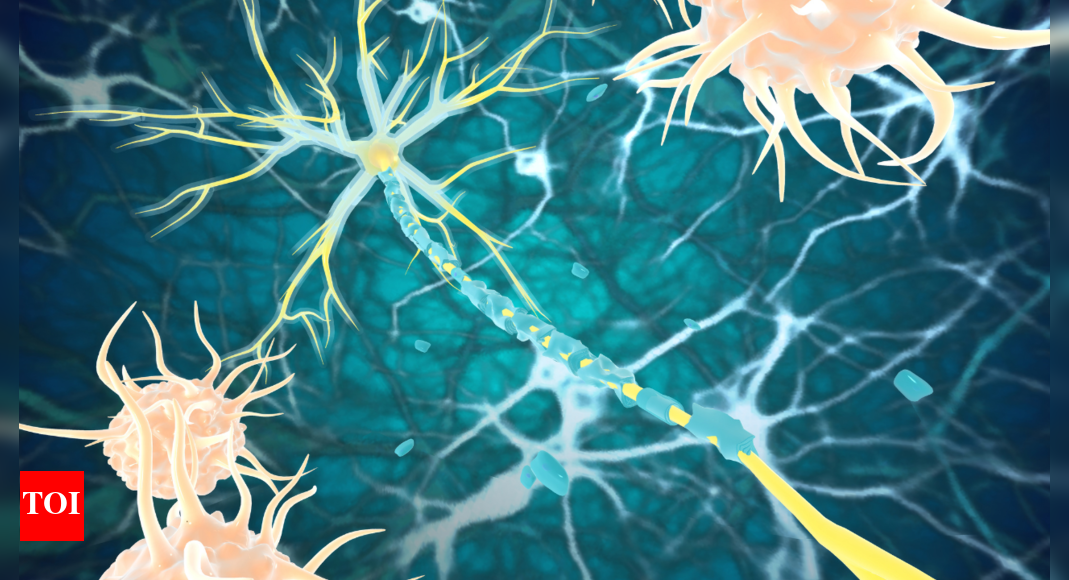 Autoimmune triggers and how it affects gut health - Vimarsana News