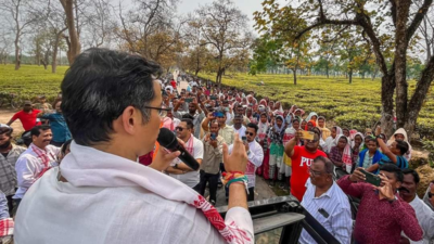 Gaurav Gogoi campaigns in tea gardens of Assam