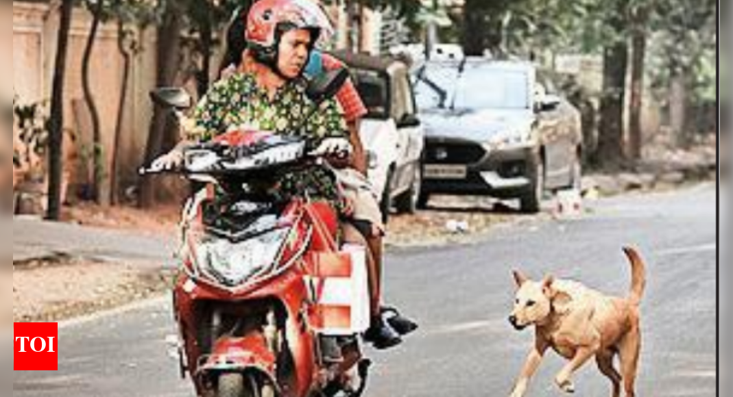 In yet another stray dog attack, toddler mauled to death in Hyderabad ...