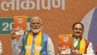 Silent on legal guarantee, but BJP vows to increase MSP from 'time to time'