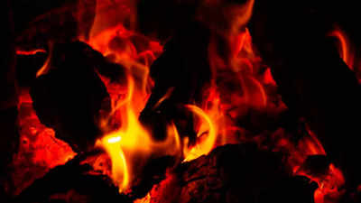 2 kids among 7 burnt alive as car rams into truck in Sikar