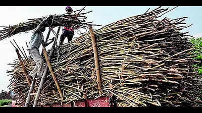13 sugar factories get notices to clear dues