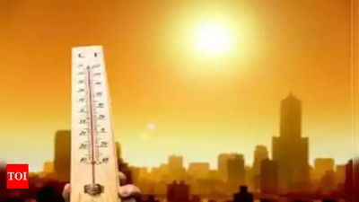 77 heatstroke cases in Maharashtra since March, 36 in past 10 days