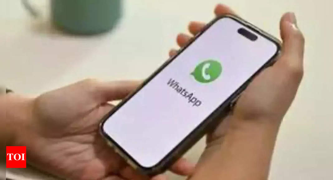 How to recover deleted WhatsApp chat: A complete guide