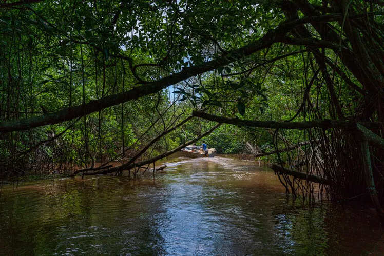 Water-based activities