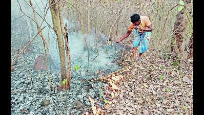 Man and machine deployed to avert forest fires in Dalma