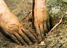 Two women killed while digging soil in Jharkhand's Dhanbad