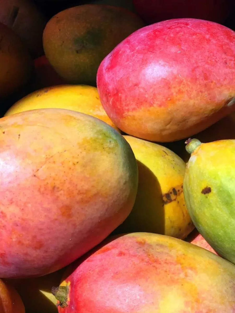 World Expensive Mangoes: Most Expensive 8 Varieties Of Mangoes From ...