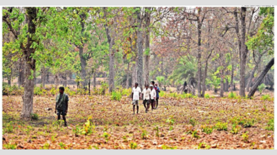Tribals of no state: Home in Telangana, farm in Andhra Pradesh and nowhere to go